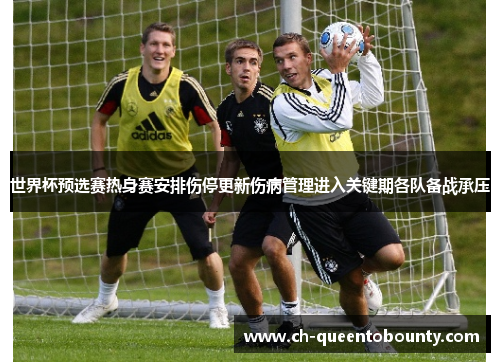 世界杯预选赛热身赛安排伤停更新伤病管理进入关键期各队备战承压